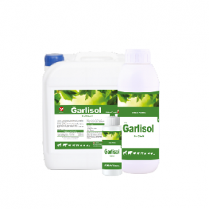 Garlisol Oral Çözelti